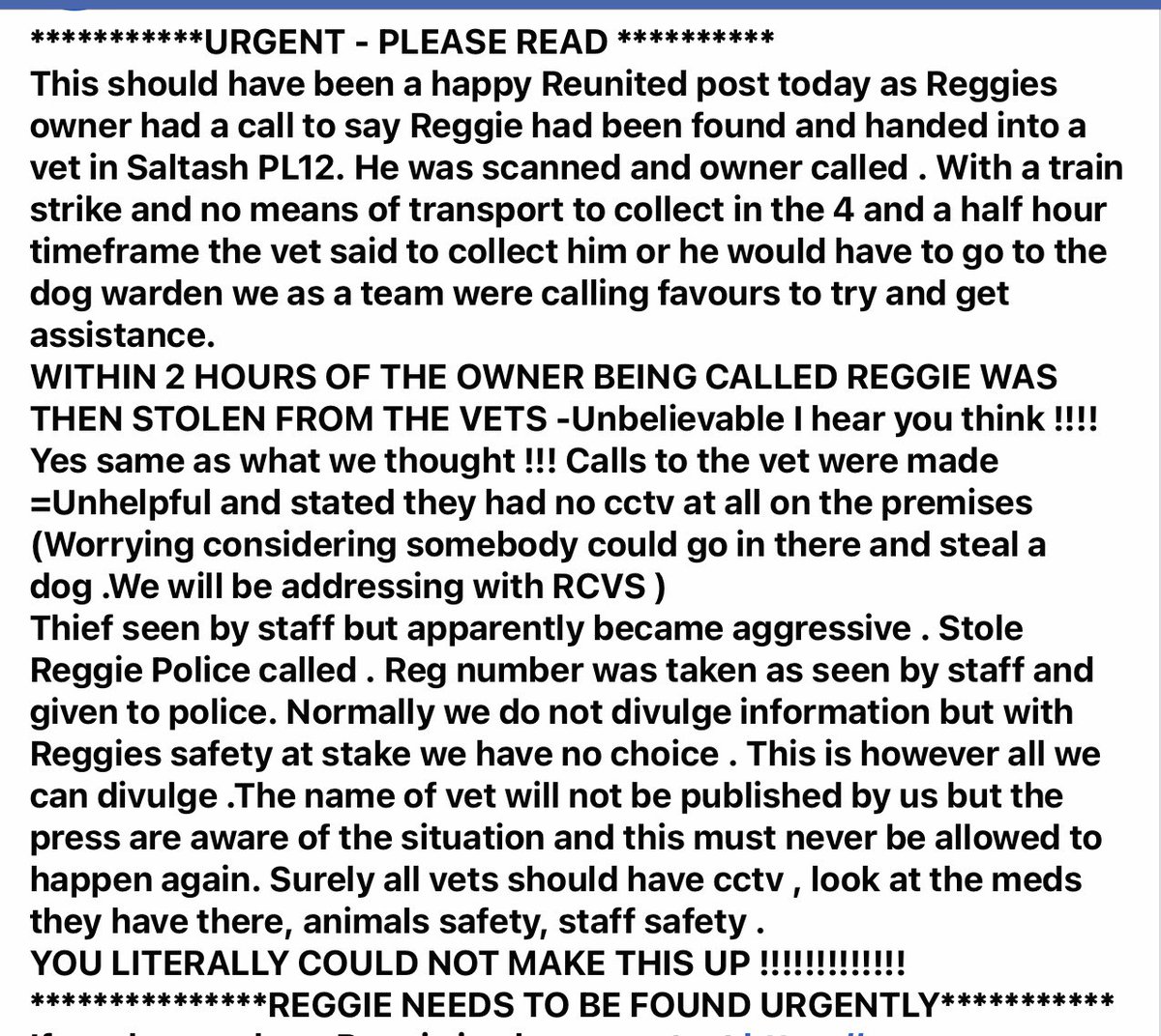 KarenFi51820768's tweet photo. ππplease see below and please #RT to anyone of your #Followers who can help #FindReggie #Stolen #CaneCorso #dogsoftwitter #dogsofinstagram @MissingPetsGB @gelert01 @karensarah66 @JacquiSaid @emmacpratt @juliagarland73 @JohnDaffern2 @tagthedogteam https://t.co/VpW9NmQLpu