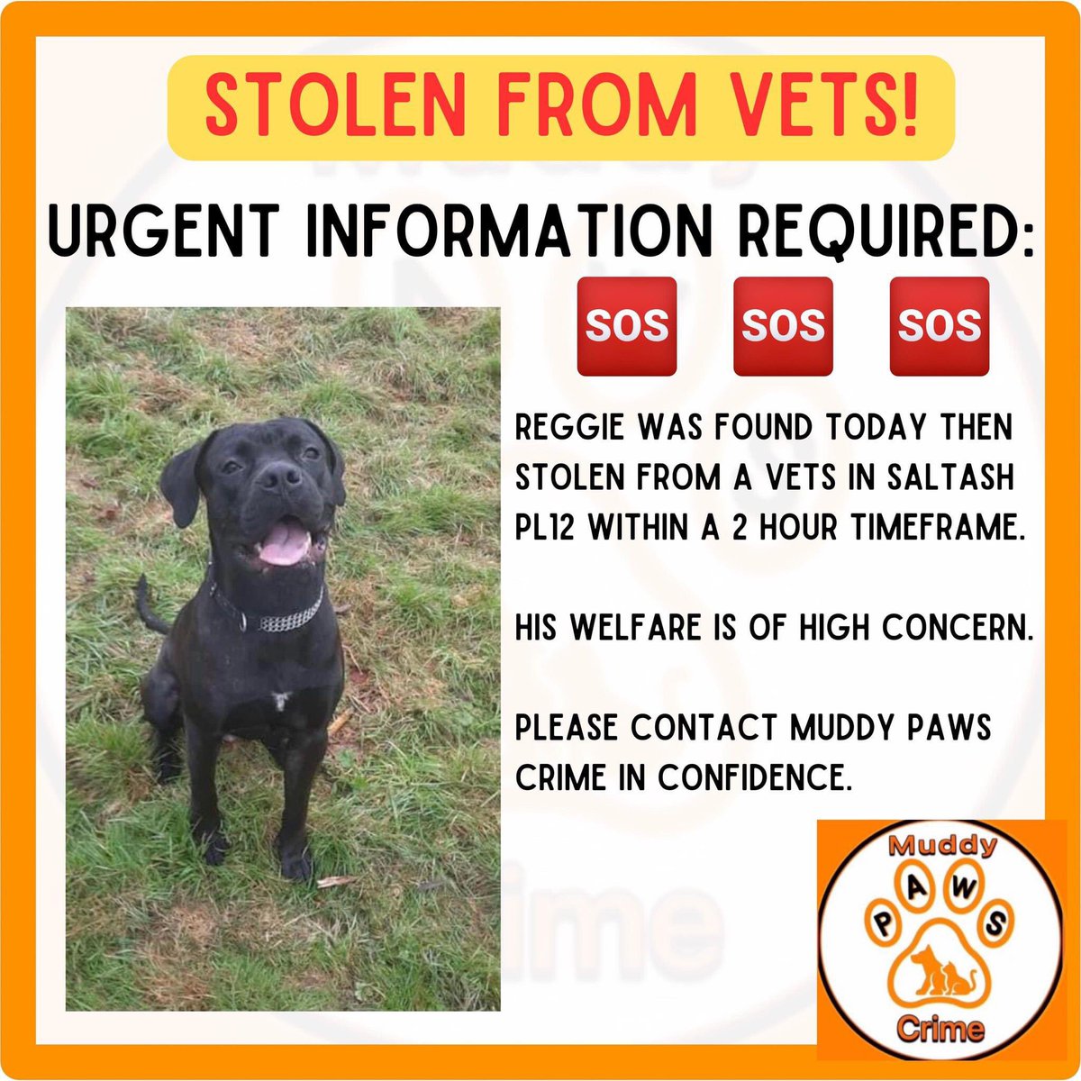 KarenFi51820768's tweet photo. ππplease see below and please #RT to anyone of your #Followers who can help #FindReggie #Stolen #CaneCorso #dogsoftwitter #dogsofinstagram @MissingPetsGB @gelert01 @karensarah66 @JacquiSaid @emmacpratt @juliagarland73 @JohnDaffern2 @tagthedogteam https://t.co/VpW9NmQLpu