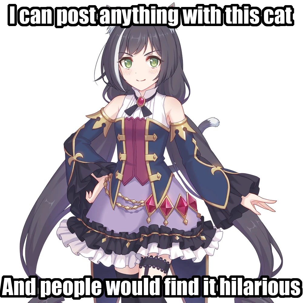 Stormcat tweet media