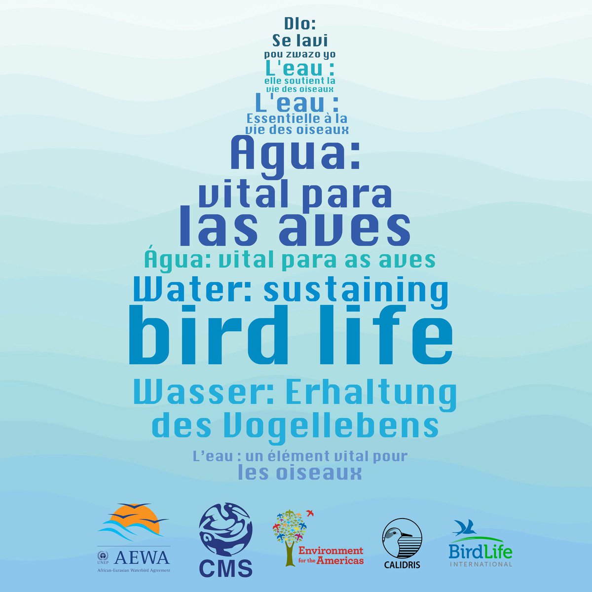 Asociación Calidris tweet media