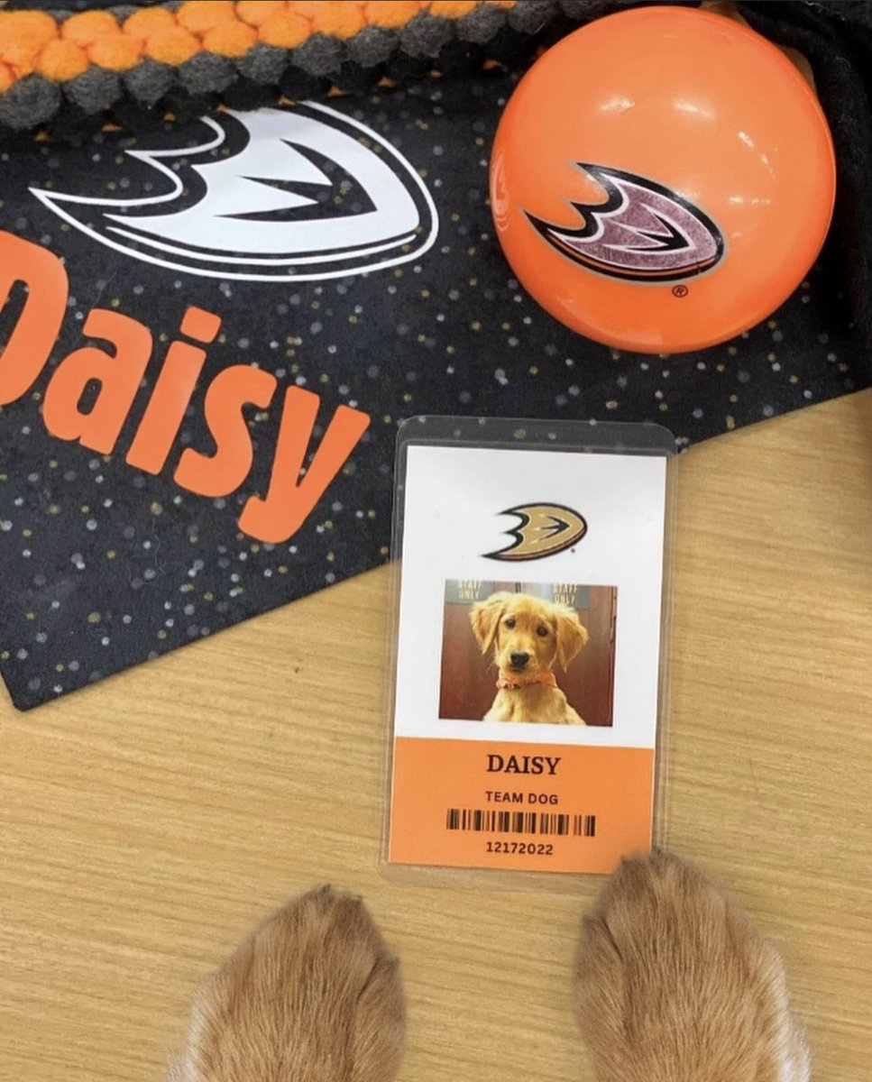 Anaheim Ducks tweet media