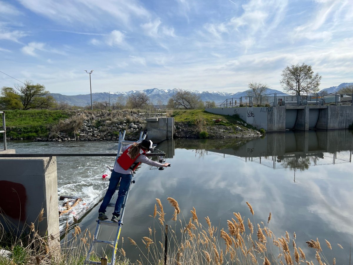 USGS_UT's tweet image. Surplus Canal in #SaltLakeCity got a new gage at the end of April. #Hydrotech adjusts the radar. Always improving. Learn more. waterdata.usgs.gov/monitoring-loc…