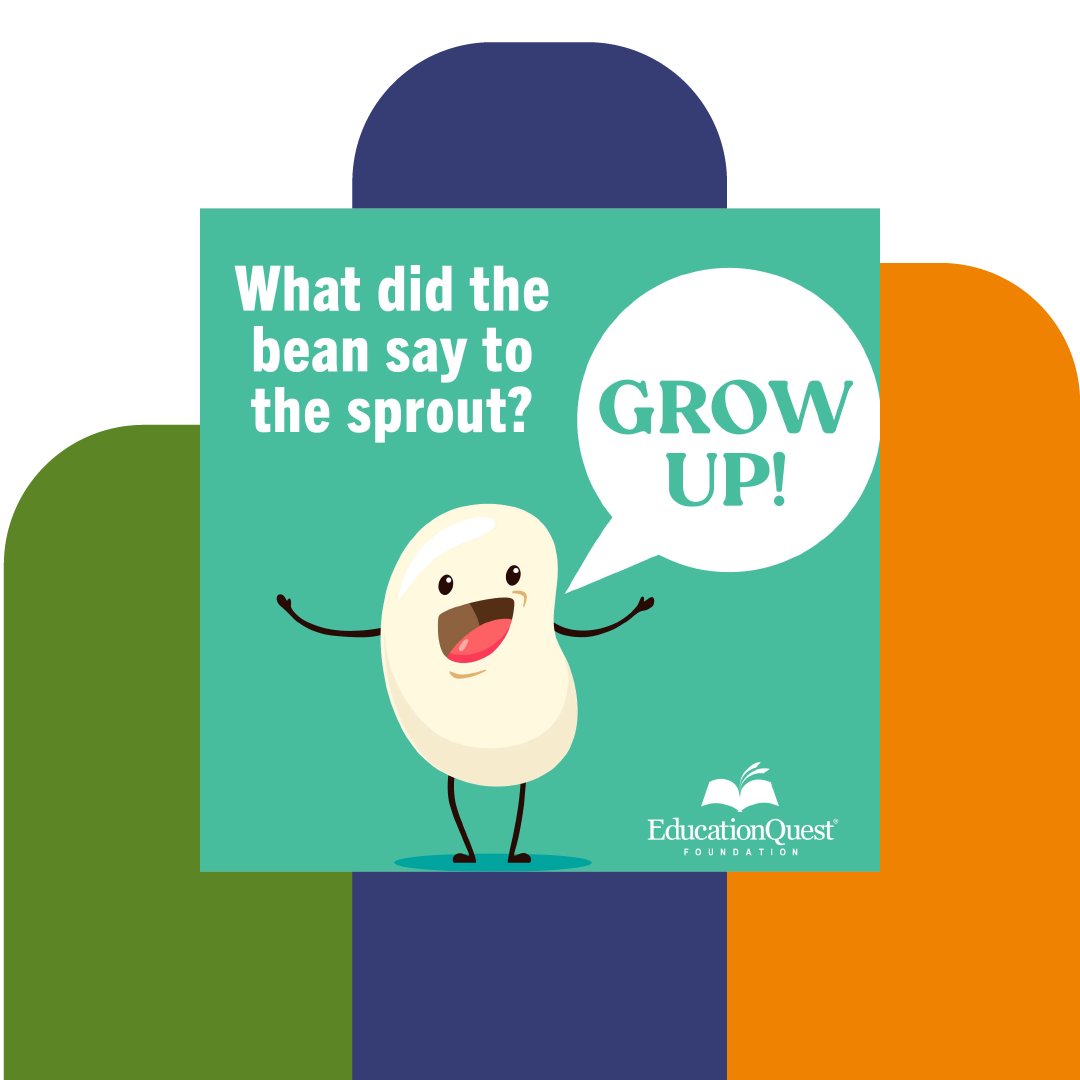 EducationQuest's tweet image. Are you more of a bean🫘 or a sprout? 🌱  
#freecollegehelp