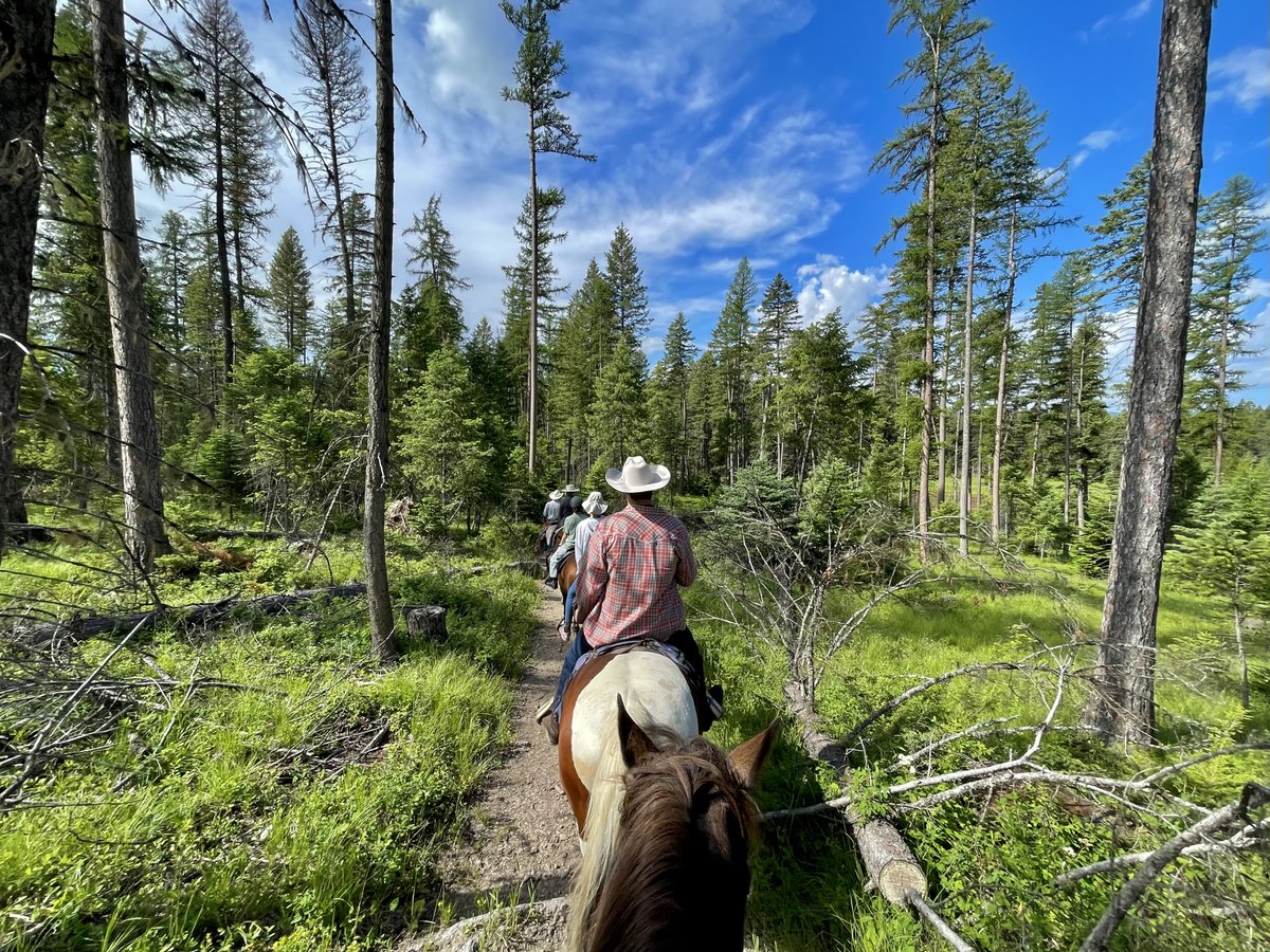 Public Trail Rides are back at Bar W! Book online now, rides go out Tues, May 16🐴
 
 thebarw.com/public-rides/2…
 
#barwguestranch #trailrides #horse #horsebackriding #montana