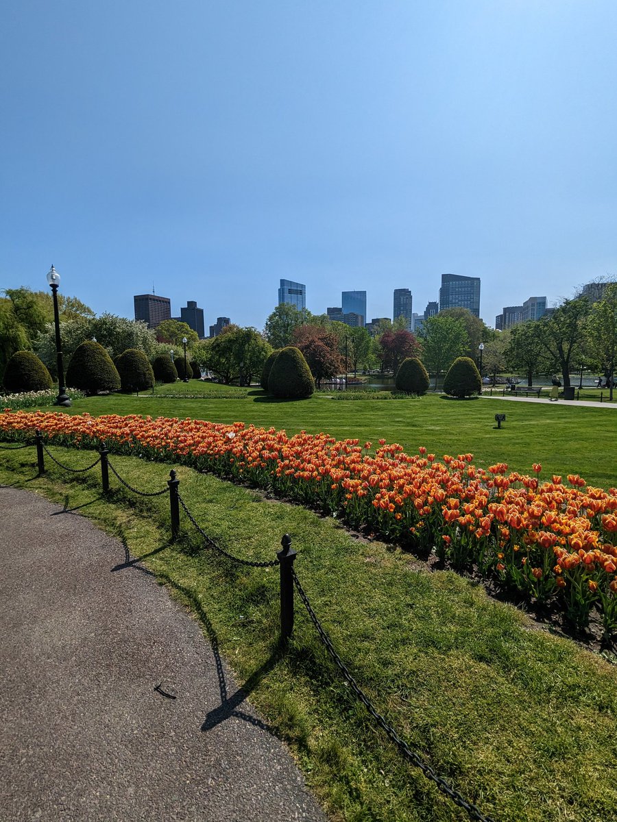 Clare_MacLeod tweet media