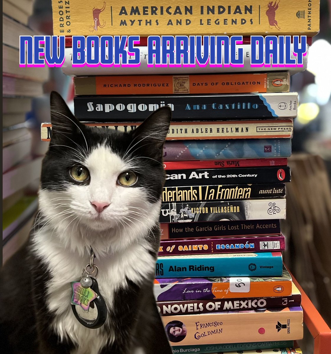 Hello, I'm Billi. I am the owner of Libelula Books.