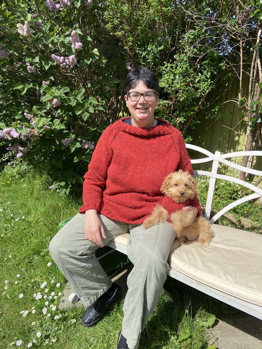 DylanOfDelfan's tweet photo. Matching jumpers!!!! 
#DogsofTwittter #cavapoo #bichon #knittingtwitter  #PetParent
#puppygoals https://t.co/keNp0jXrdN