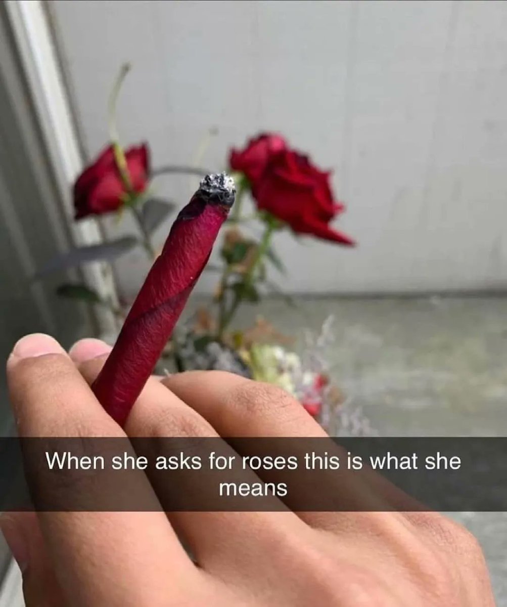 Rose joint 🌹💨