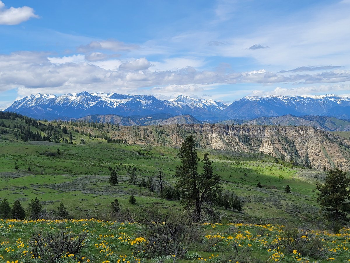 Locksley Kolakowski tweet media