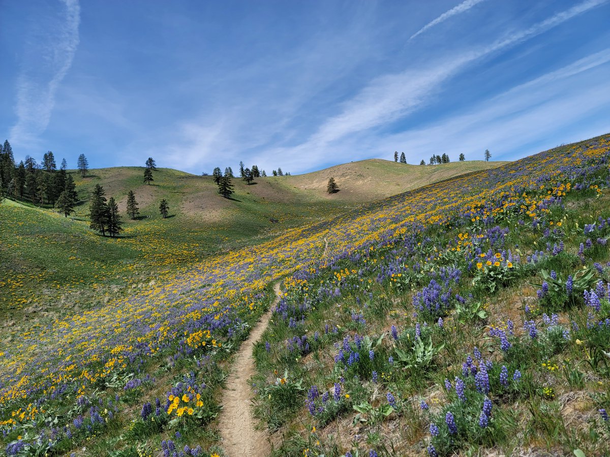 Locksley Kolakowski tweet media