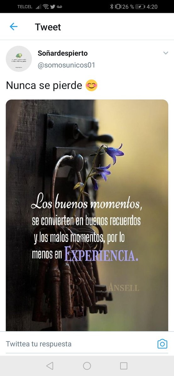 Araceli Álvarez (@araceli_alexand) on Twitter photo 