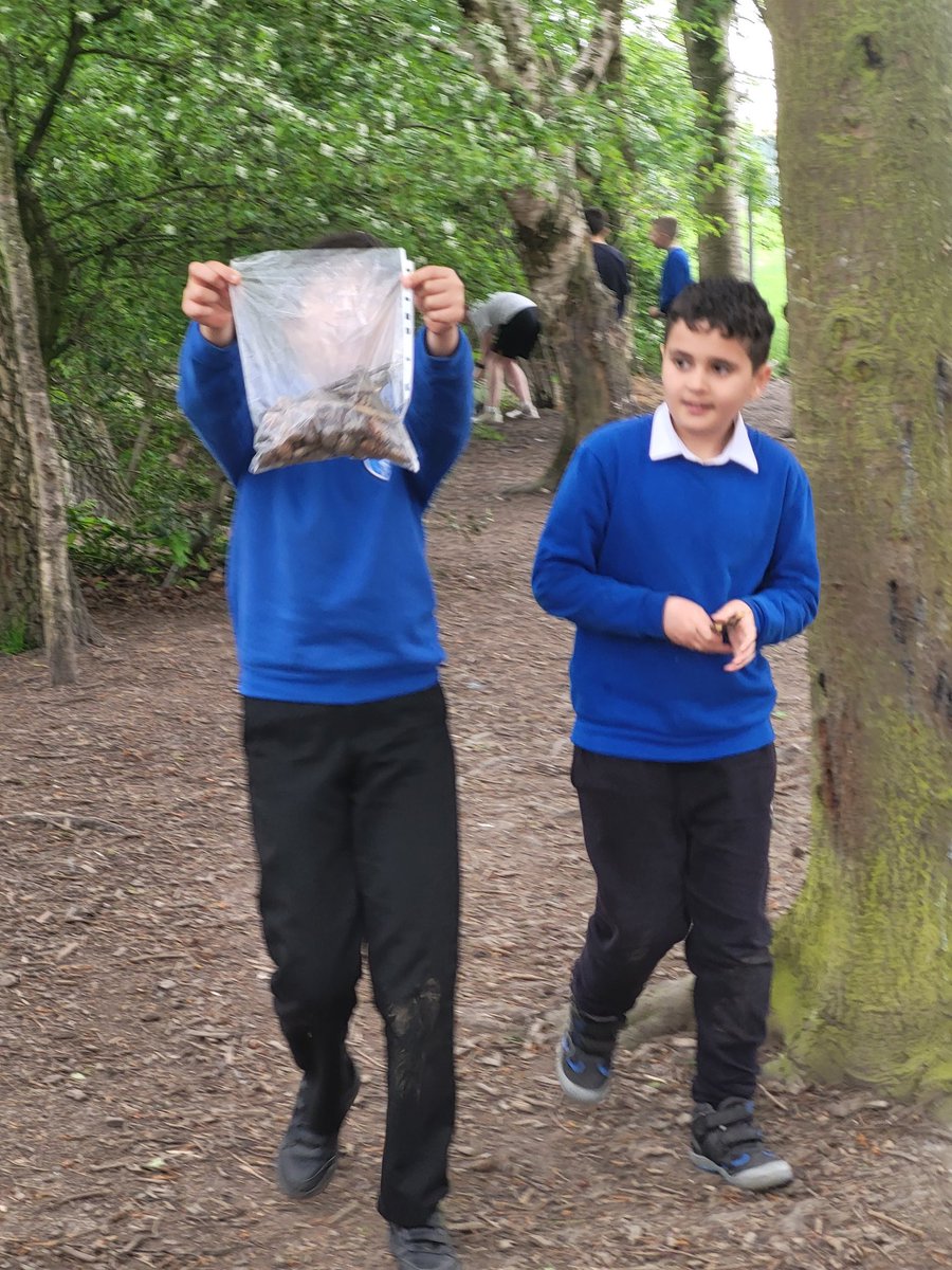 MsDWrightTeach's tweet photo. Today we gathered some natural resources to make a bug hotel 🪲🐞🪳🦗🦠🐛 we were joined by M, who was a big help! @MrsVps https://t.co/WqT7WXeFVh