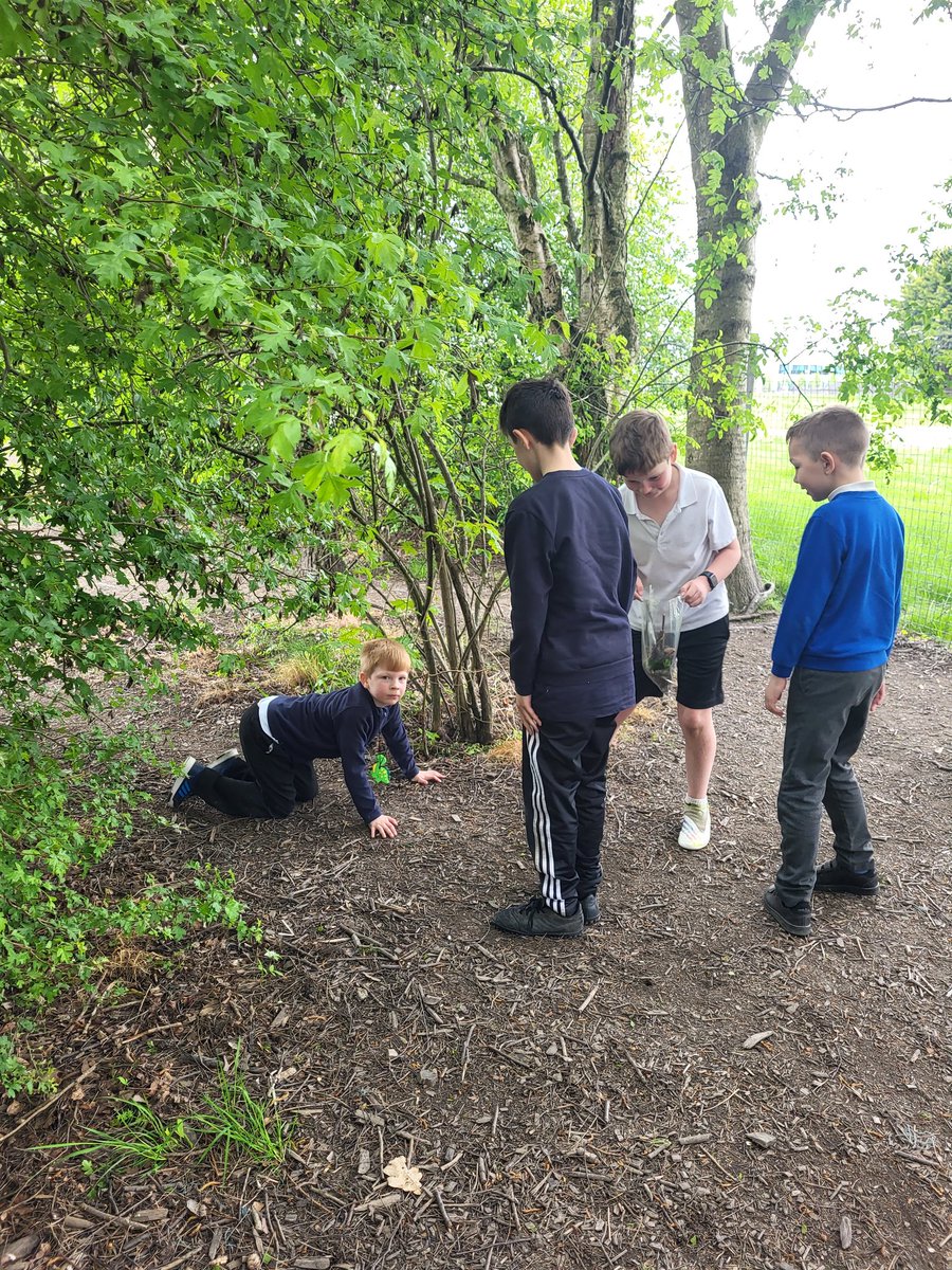 MsDWrightTeach's tweet photo. Today we gathered some natural resources to make a bug hotel 🪲🐞🪳🦗🦠🐛 we were joined by M, who was a big help! @MrsVps https://t.co/WqT7WXeFVh