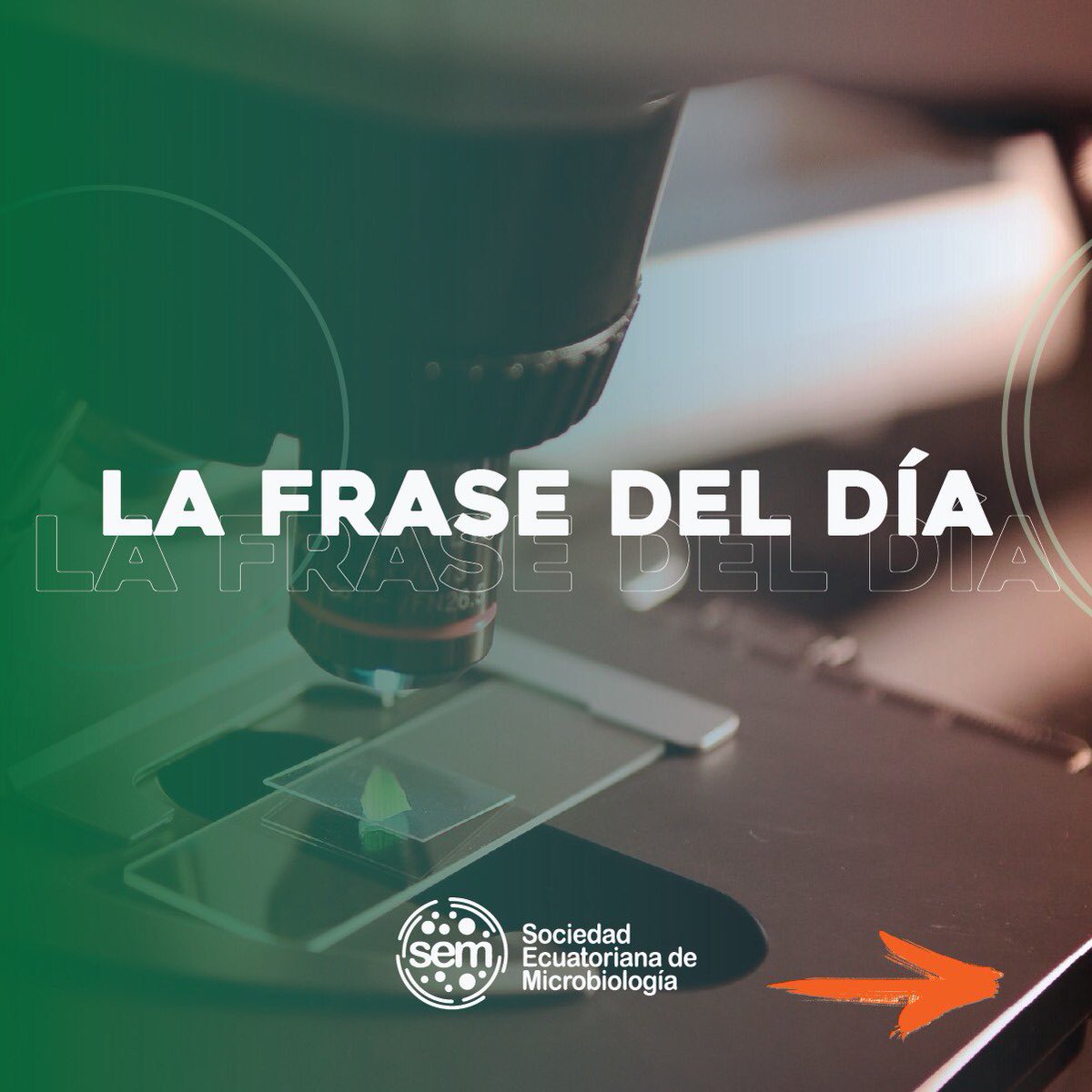 Sociedad Ecuatoriana De Microbiología tweet media