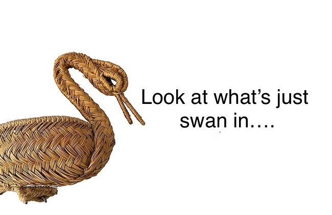 Straw Spanish swan basket filled with a collection of 25 decorative eggs including onyx, agate and marble. 

Swan H: 26cm W: 40cm D:20cm / Eggs : Assorted sizes

Available to view in our showrooms and on our website.

🦢
🦢
🦢

#swan #strawbasket #eggs … instagr.am/p/CsKMnijIwwp/