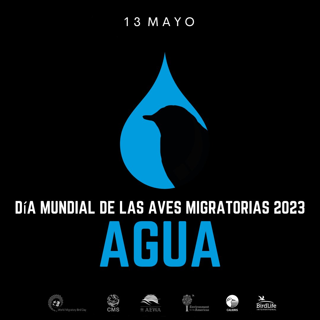 Asociación Calidris tweet media