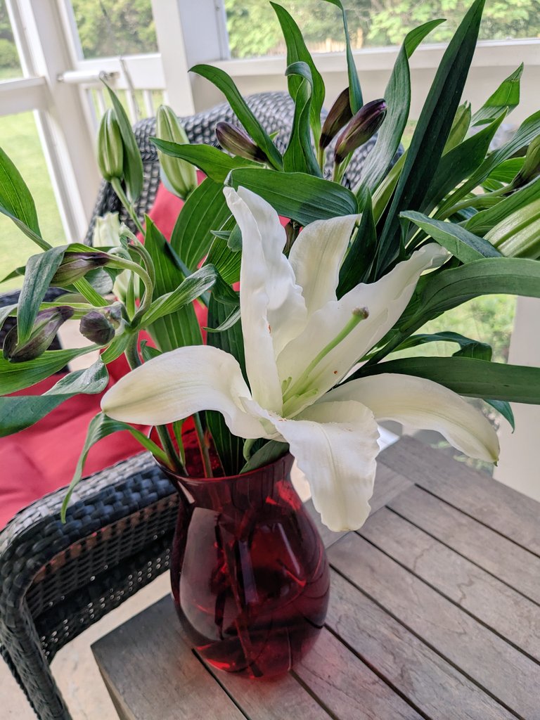 Hbwlibrary's tweet image. THANK YOU to all! Cards + treats from the kiddos!   💐 And to PAC @HBWProgram: thank you for the delicious tastes all week for teacher appreciation... and for giving us us 🤩 such BEAUTIFUL bouquets to take home, too!  #loveHB! @APSVirginia #CaringCommunity