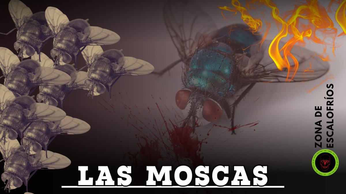 zonadescalofrio's tweet photo. Hay #relatos que pueden contar crudas situaciones. ¿Qué crees que significan #lasmoscas en esta #historia? @callme_audi https://t.co/j9ZvMqzviy https://t.co/JiO9gs8LTj