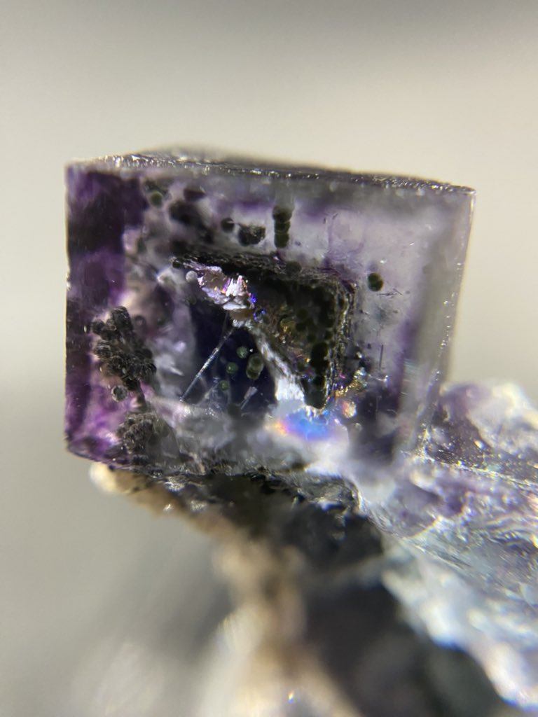 クーカイトを内包するフローライト

フローライトに球状のクーカイトが内包されています
禍々しい雰囲気