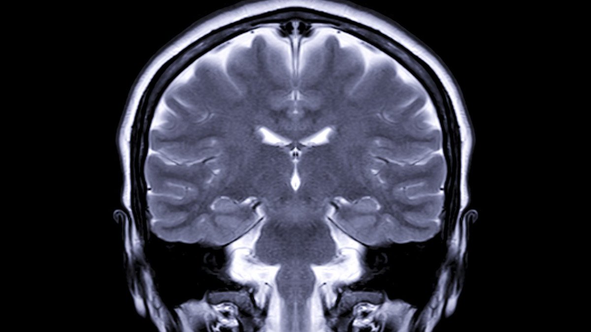 As a few of you guys know, my mother has multiple brain tumors and I'm struggling to pay for her medical bills all on my own. So I set up a fundraiser. Would Mean The World If you all could share this. gofund.me/32bc4b66

More of the story there