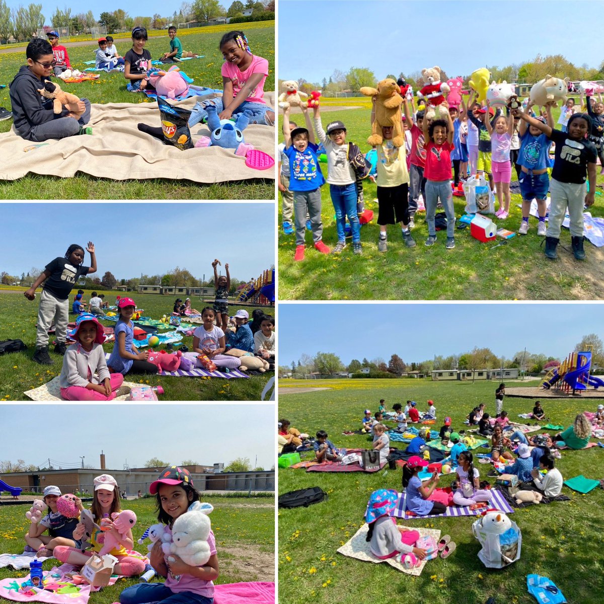 Dorset_Drive tweet media