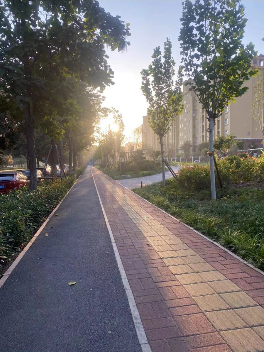 DistanceMagic's tweet image. Early morning 5k, sweating while stretching after the run!