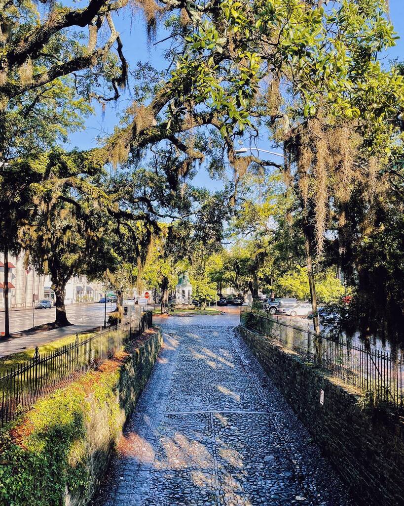 Lost in the beauty of Savannah's sunlit trees. ✨ #VisitSavannah [📸 @lowcountry_wanderer] . . . #savannah #savannahga #savannahgeorgia #historicsavannah #downtownsavannah #exploregeorgia #nttw23 instagr.am/p/CsKRm-gtCZk/