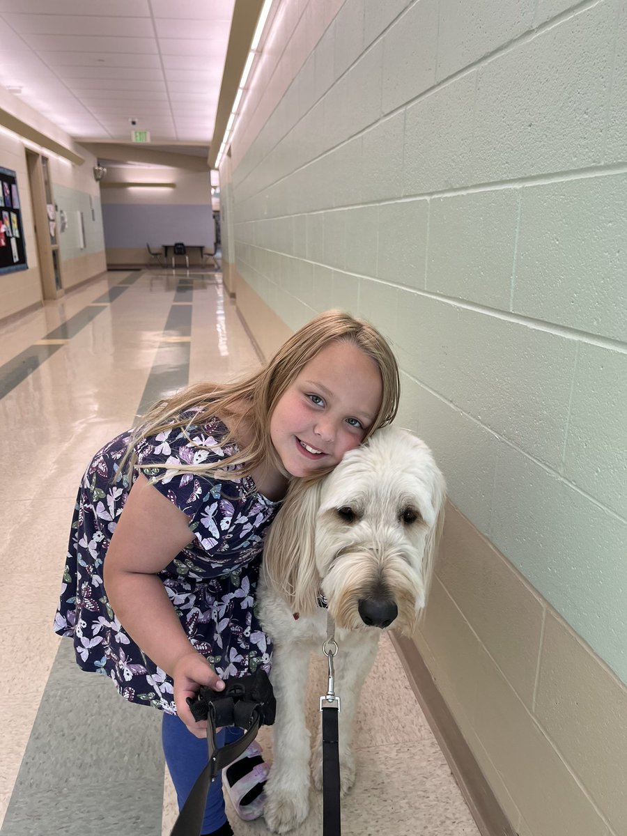 SarahBowser4's tweet photo. Life is always better with Gibson by your side!❤️🐾#masonmomentum @MrsBly_MECC #4paws4ability https://t.co/ibQyB0SM1F