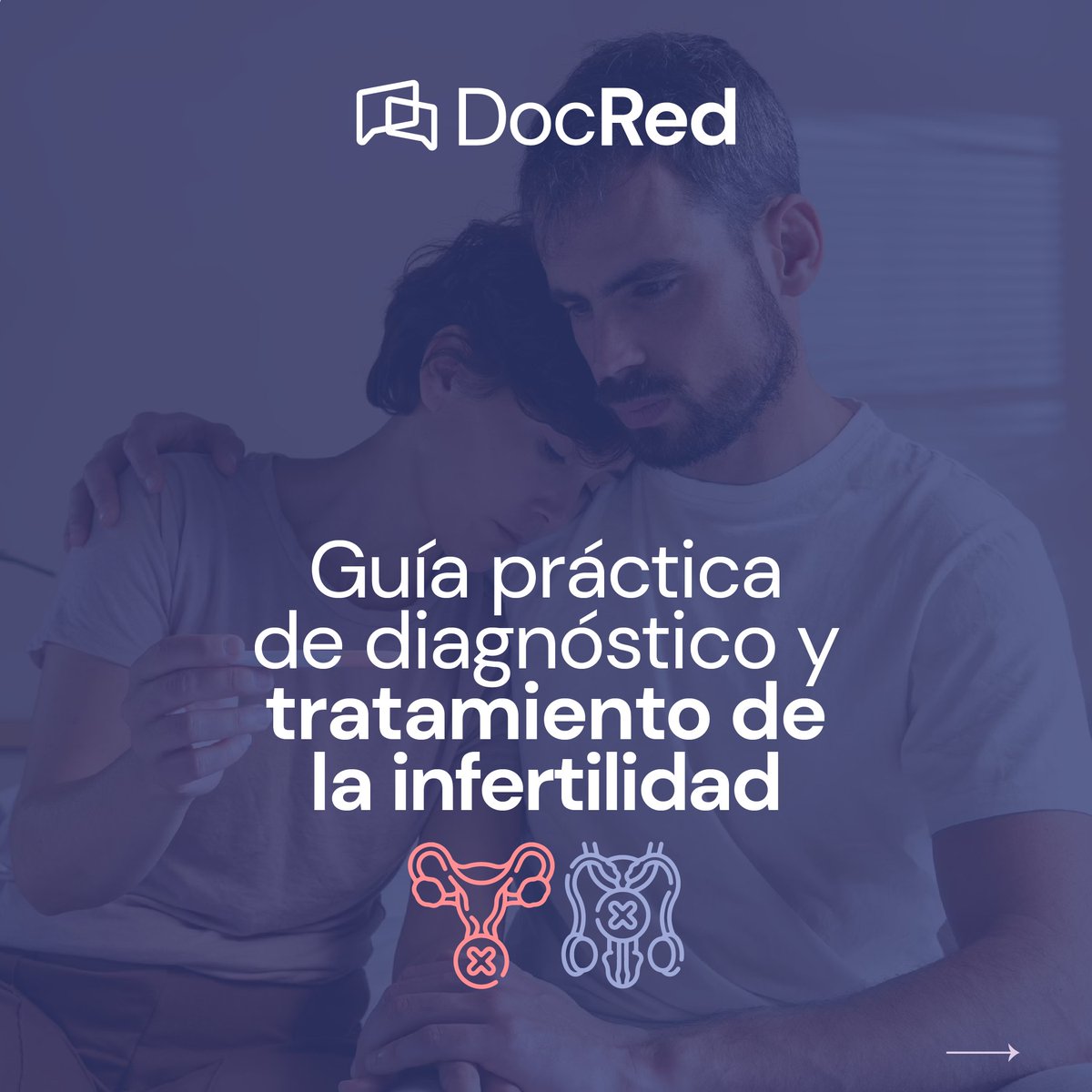 Docredlatam's tweet photo. #InfografíaDocRed El abordaje inicial de las parejas con sospecha de infertilidad consiste en evaluar la ovulación, la calidad y cantidad de espermatozoides. 🤰🏻

👉 https://t.co/3EkWFYtoWE.

#DocRed #fertilidad #reproduccion #infertilidad #ovulo #espermatozoide #mujer #hombre https://t.co/0iFdNYA1KT