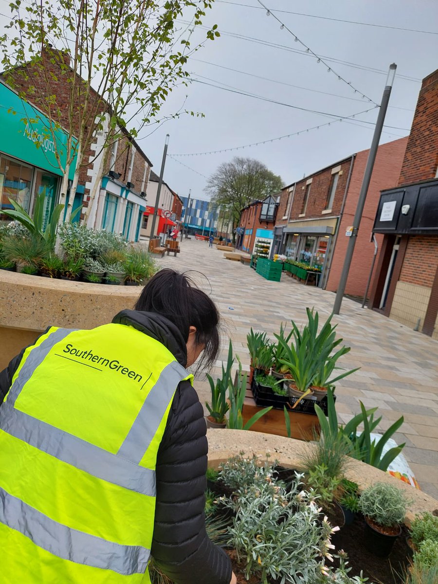 Really enjoyed setting out the planting @BlythTCouncil this morning! #landscapearchitect #urbandesign #designers #planting #publicrealm #towncentre