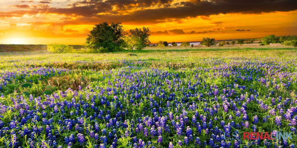USRenaLink's tweet photo. Enjoy the water with these #SouthTexas opportunities! Competitive salaries + benefits. J-1 eligible for 2024. Contact Kristen @nephwhisperer at NephrologyJobs@usrenalcare.com. #nephrology #nephcareers https://t.co/YkZBNsBFb0
