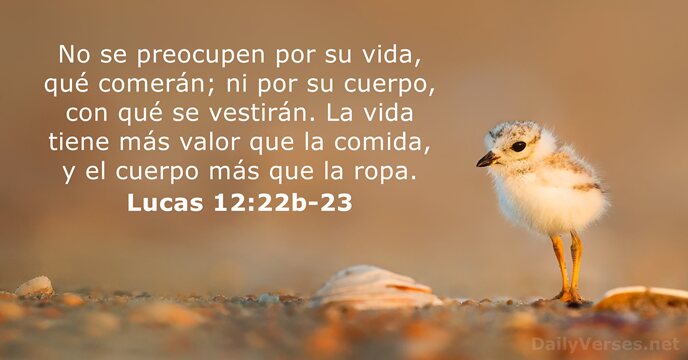 DailyVerses_es's tweet photo. Lucas 12:22b-23 - https://t.co/AaLK0afhke https://t.co/Bs2gexKfUY