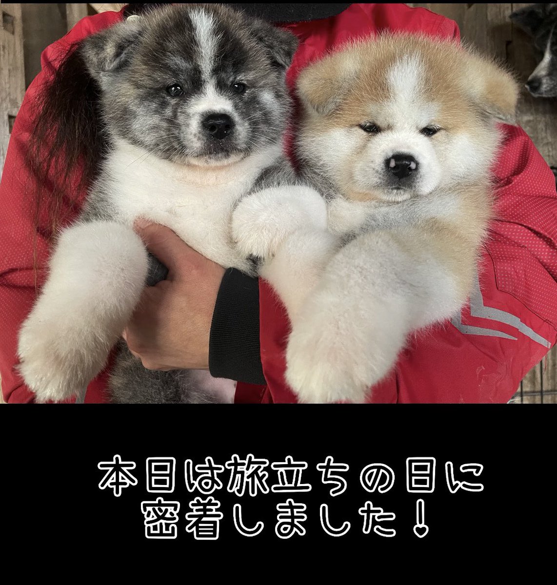 ryuukaen1's tweet photo. https://t.co/rca4avKQyW

🫶🫶🫶🫶🫶🫶🫶🫶🫶 https://t.co/WDGQJReSaW