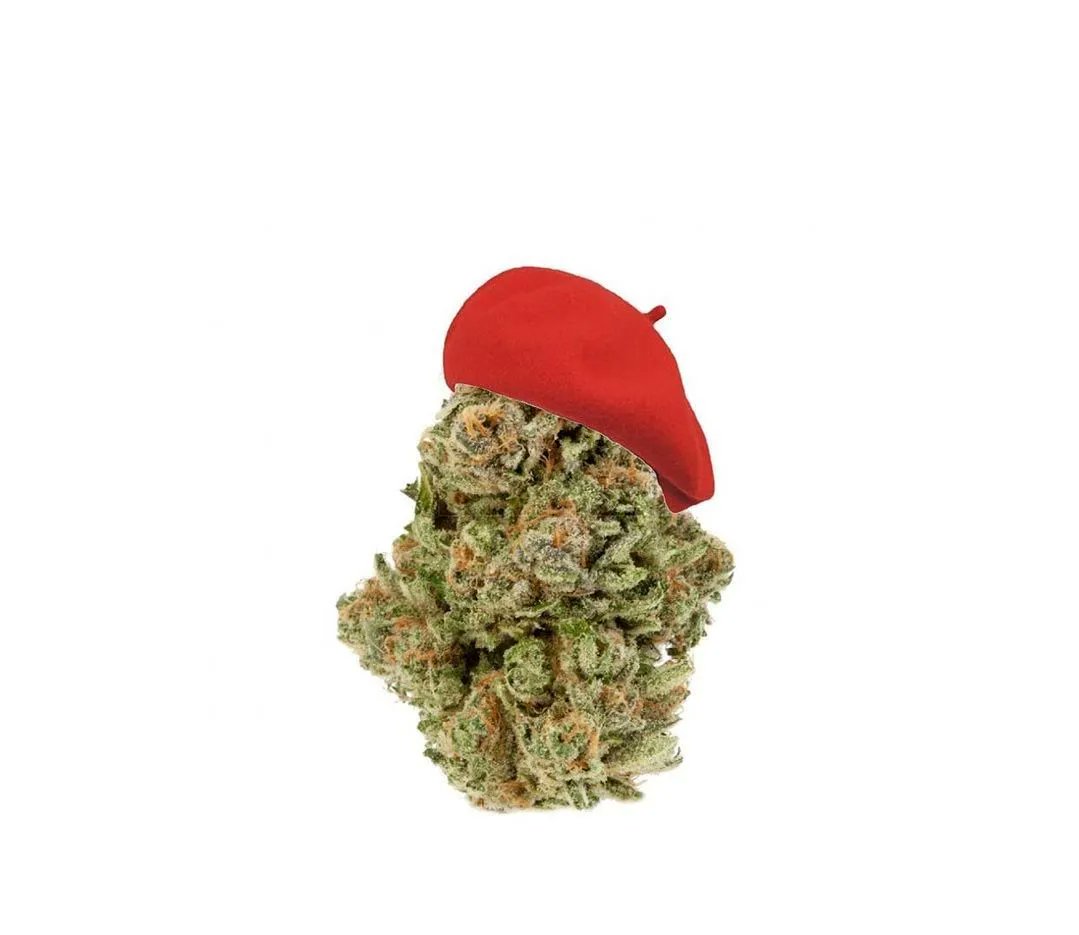 ️Weed God tweet media