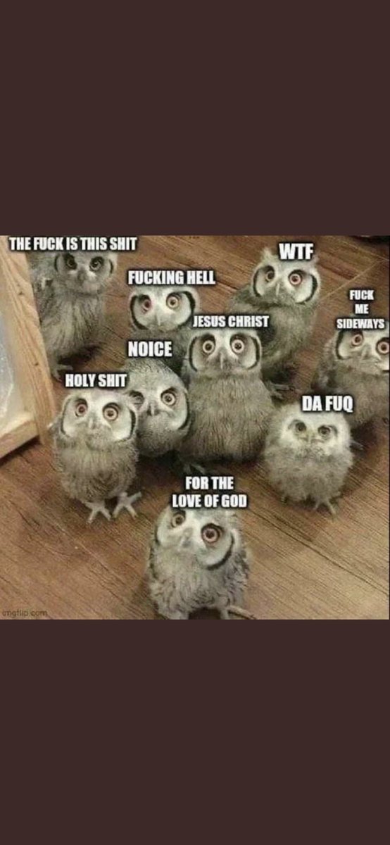 Penal Erectus tweet media