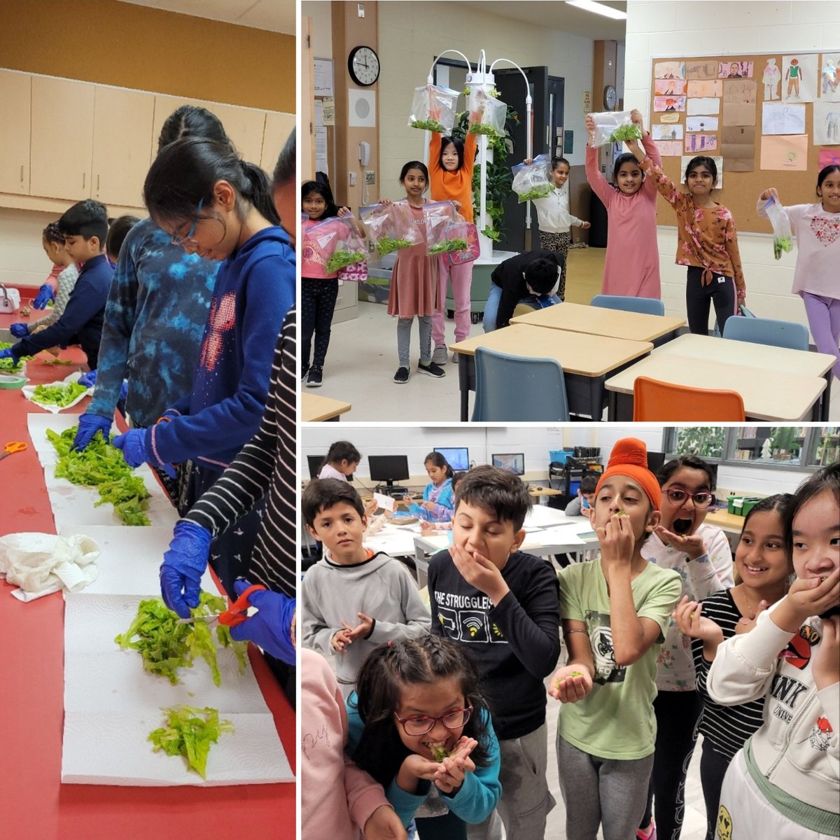 Jennifer Joseph tweet media