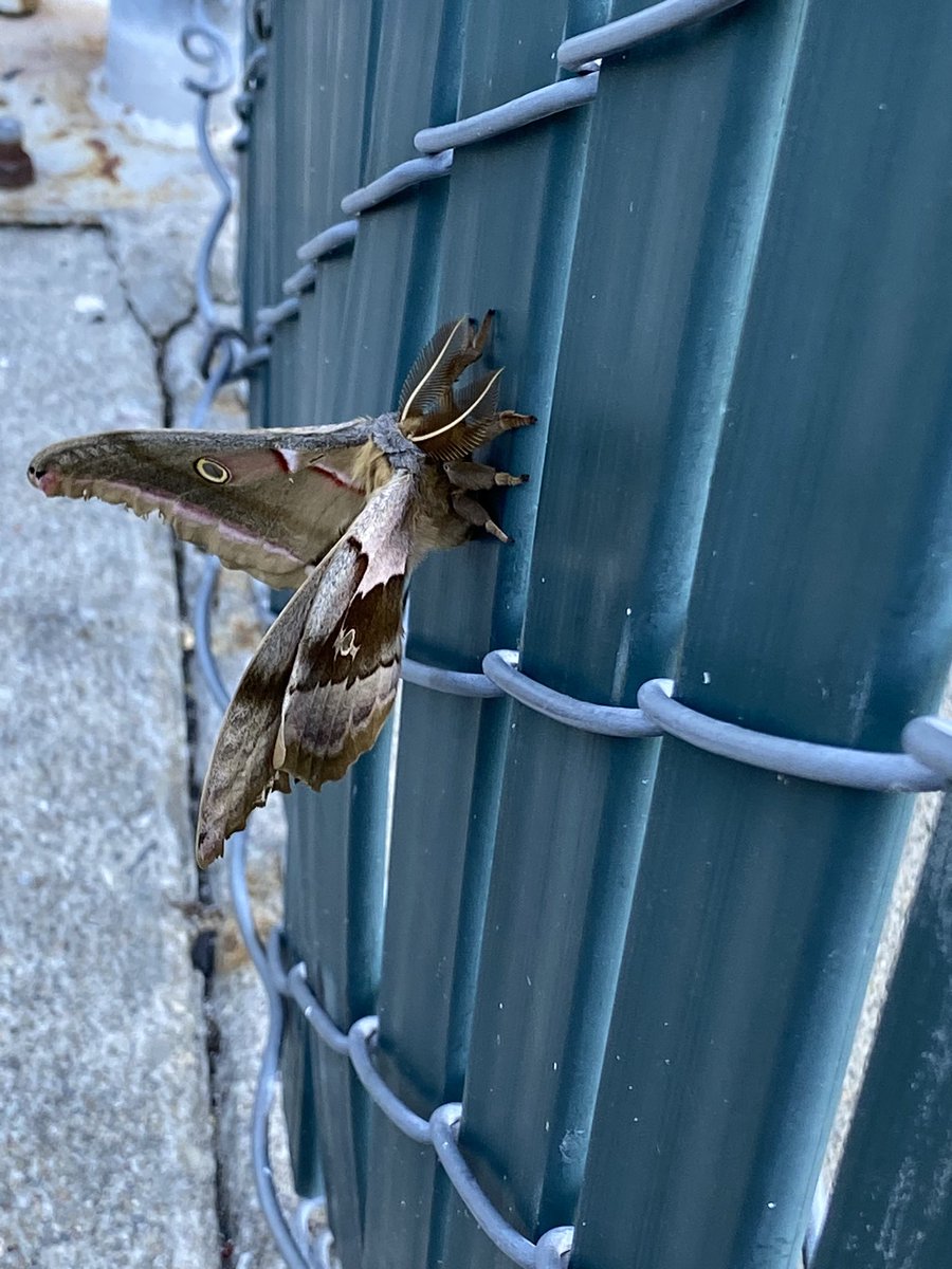 Maria Miller tweet media