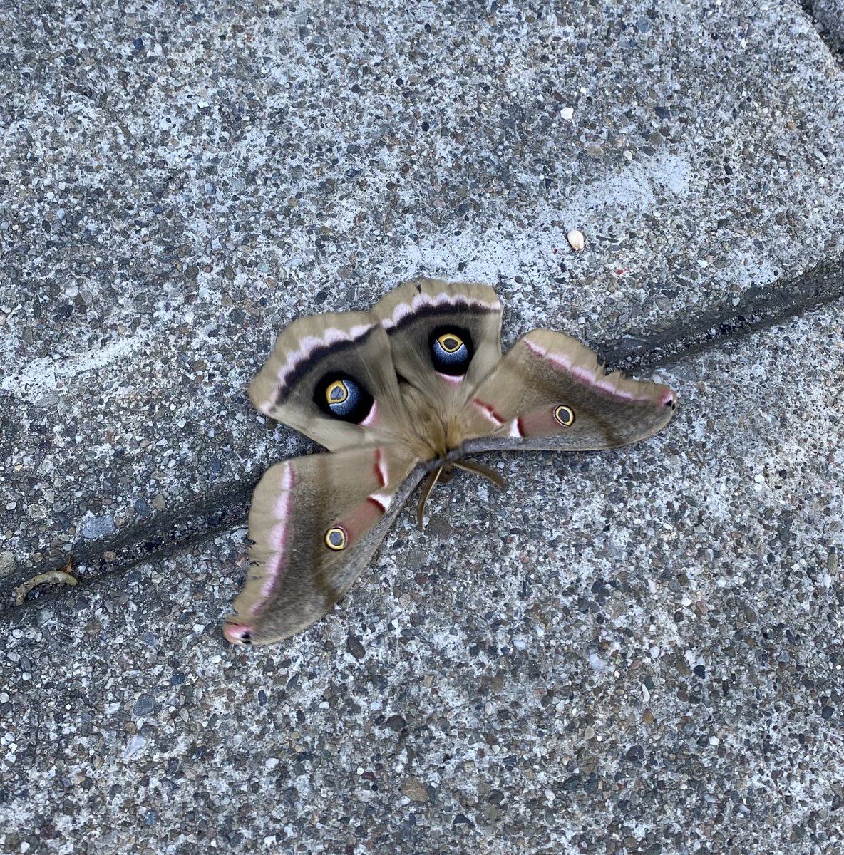 Maria Miller tweet media