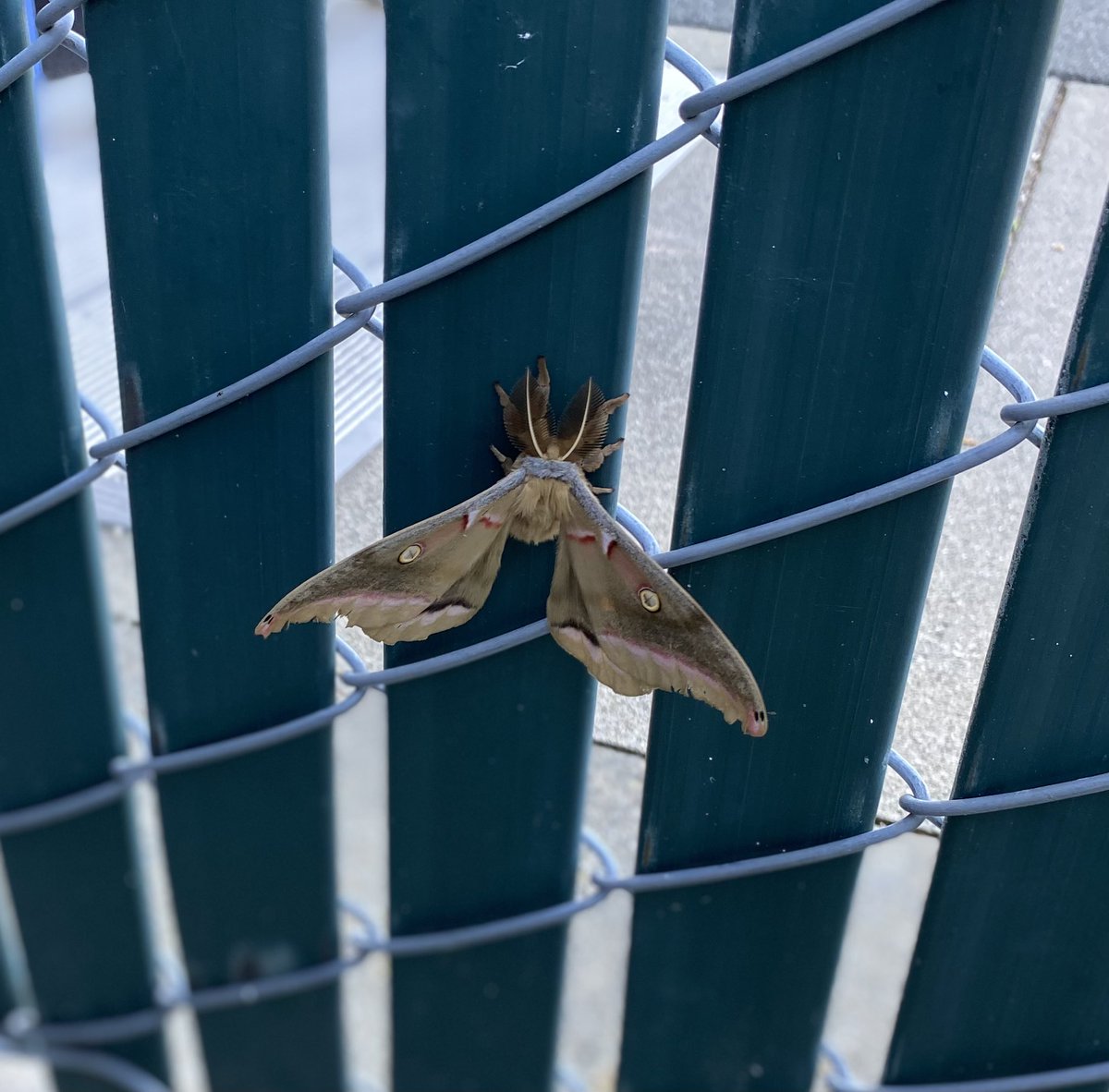 Maria Miller tweet media