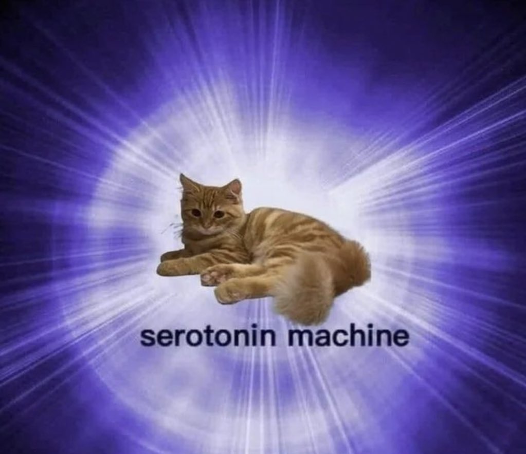 kikuko (@calloutmedic) on Twitter photo 