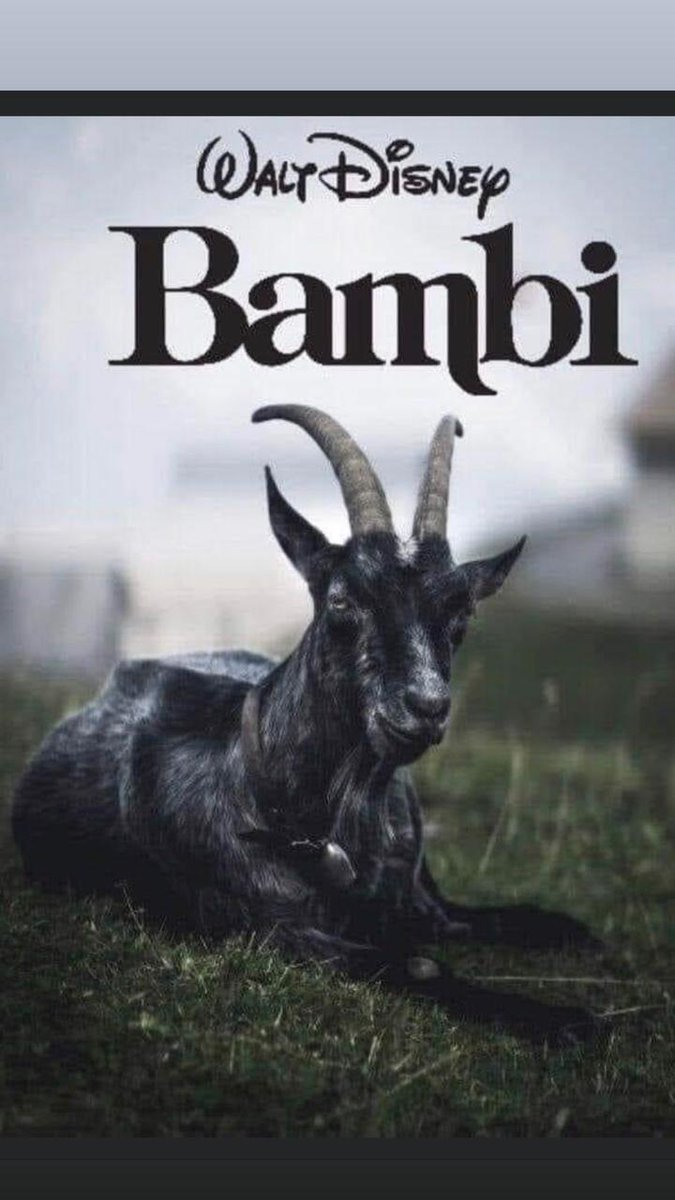 SkyFigh16476169's tweet photo. @DisneyStudiosLA Y Bambi para cuando...?? https://t.co/6pDhsd3lz7