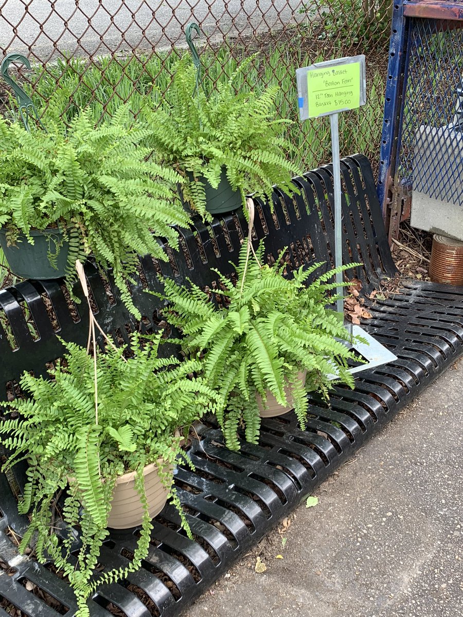 OFFICIAL last day of Spring Plant Sale is Saturday, May 13th from 9:00am to noon.  We have a limited supply of products. Please come early to snag your Mother’s Day baskets and containerized plants! <a href="/M_villeHS/">Mechanicsville High School</a>