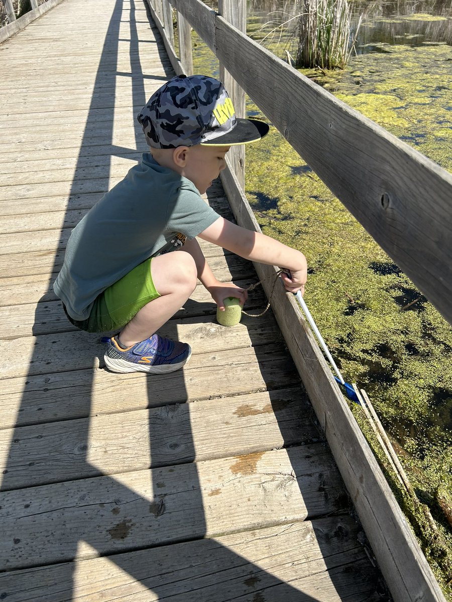 Fun morning at Little Cat with my little friends. Exploring nature and seeing what we can catch in the Marsh 🐸
#alcdsbMYSP