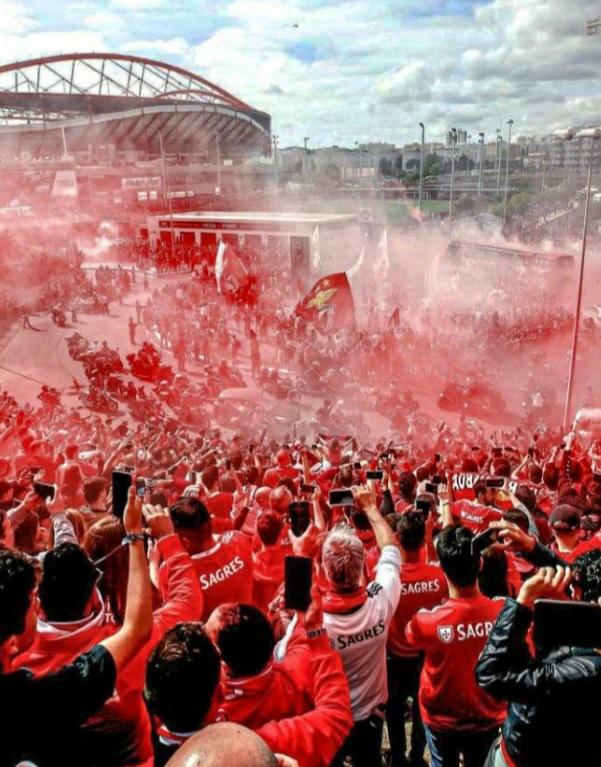 _ana__ritaa_'s tweet photo. DIA DE SPORT LISBOA E BENFICA ❤‍🩹 https://t.co/TDHH2xeihP