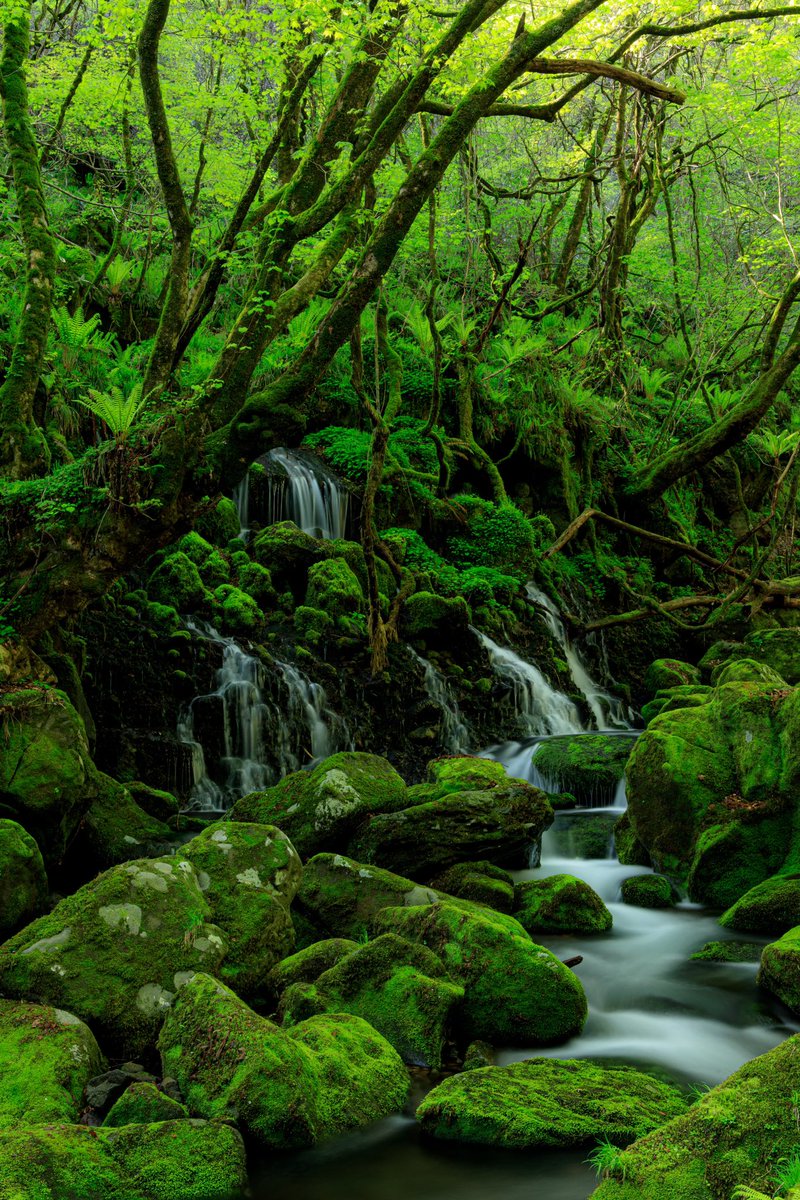 #naturephotography
#ファインダー越しの私の世界
#滝好き 
#waterfalls 
#landscape 
#けしからん風景 
#日本の絶景 
#日本の風景 
#自然が好き 
#longexposure 

location：Akita Japan