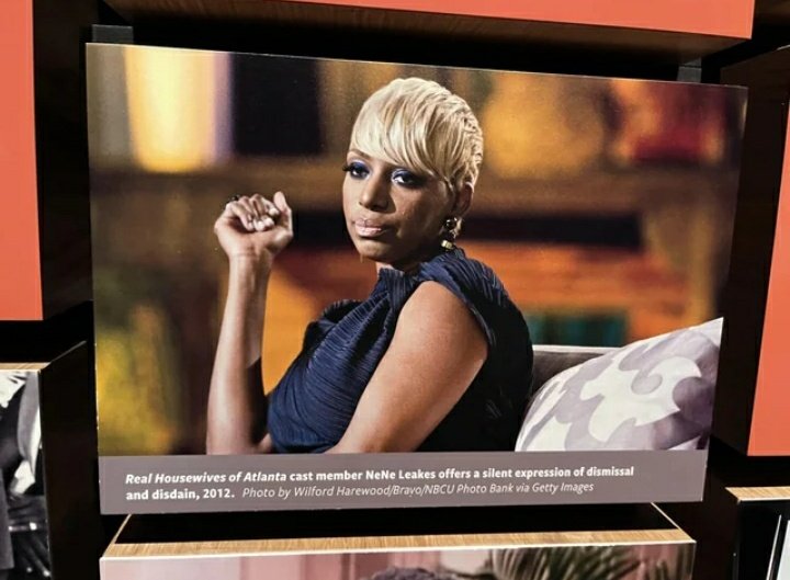 Daddy Diaries by Andy Cohen 
Fun(NeNe) Excerpt 2:

[I had a] 3hr private tour of the NMAAHC, which was moving, educational, & fun. 

Was this forced diversity trng or did he really missed @NeNeLeakes ? Guilty conscience? 🤣 #RHOA #DaddyDiaries #OleRacist