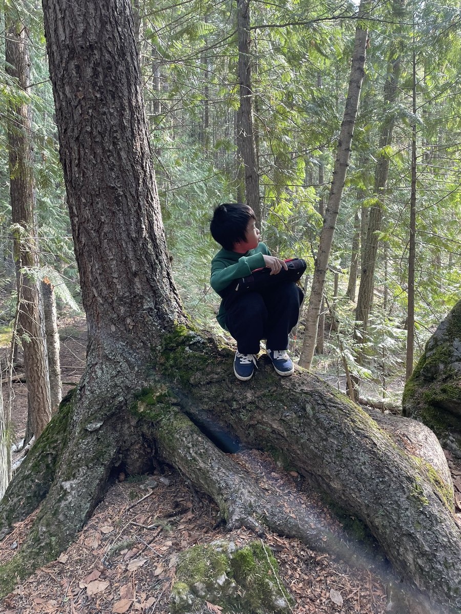 Mariah Bouchard tweet media