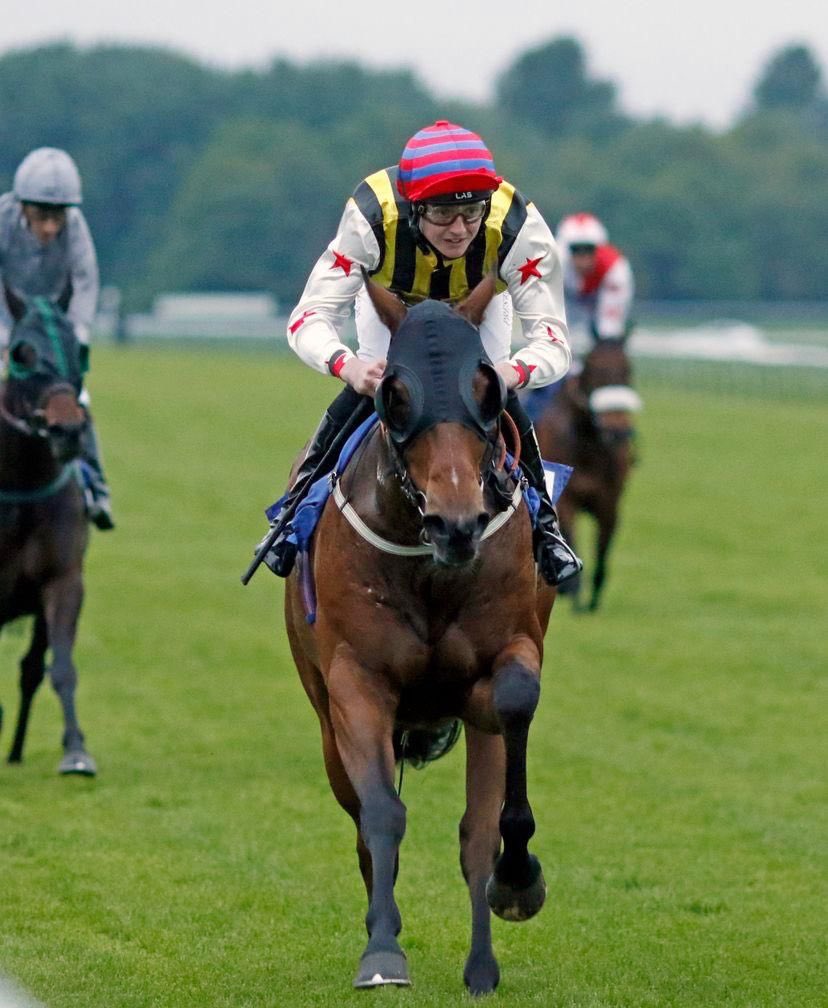 Another win for our Dandy Spirit 🏇🥇❤️ <a href="/GoveShaw/">Gove & Shaw Racing</a> <a href="/alangoveracing/">Alan Gove - Founder & CEO Alan Gove Racing</a> <a href="/Nawton_Racing/">Roger Fell & Sean Murray Racing</a> <a href="/jonnypeate2/">jonny peate</a>