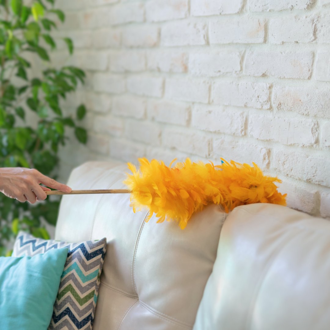 WrightMoves's tweet image. Start by spring cleaning🧹
Link for some simple ideas for bringing spring into your home.⁠

l8r.it/CAFj
⁠
#springtime #bringinspring