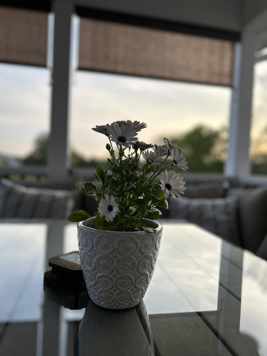 Reflecting on the day with a ❤️ full of gratitude, from the #GoldenEagleWinner Reception and two field days filled with student smiles and parent support to the endless efforts of our amazing @bses_pto There is so much to be thankful for.